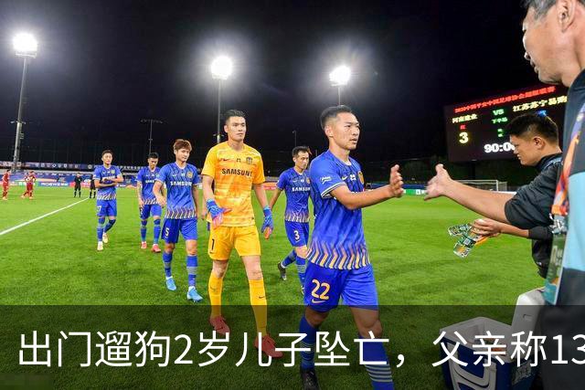 出门遛狗2岁儿子坠亡，父亲称13万丧葬费已对得起孩子，指责妻子带媒体去墓地是博流量；母亲含泪发声