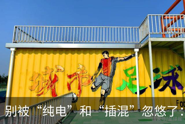 别被“纯电”和“插混”忽悠了：不出意外，未来超50%的家庭，最终都会老老实实买HEV