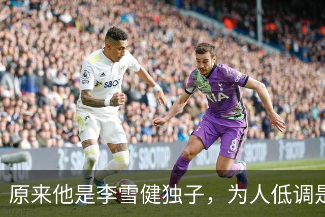 原来他是李雪健独子，为人低调是青年才俊，如今为父亲身体忧心