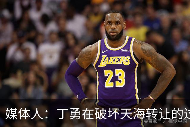 媒体人：丁勇在破坏天海转让的过程中曾拉刘奕下水