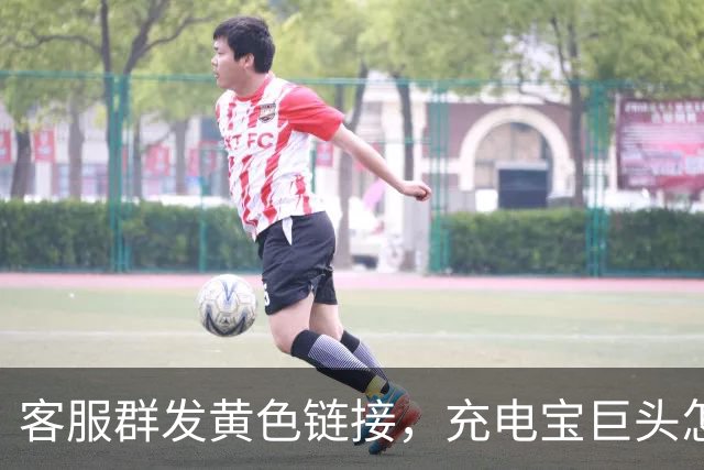 客服群发黄色链接，充电宝巨头怎么了？
