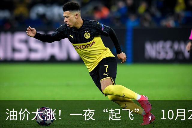 油价大涨！一夜“起飞”，10月25日全国92,95汽油“预涨近0.3元/升”，92汽油接近“9元/升”，2026年第14次上涨，倒计时4天，赶紧加油！
