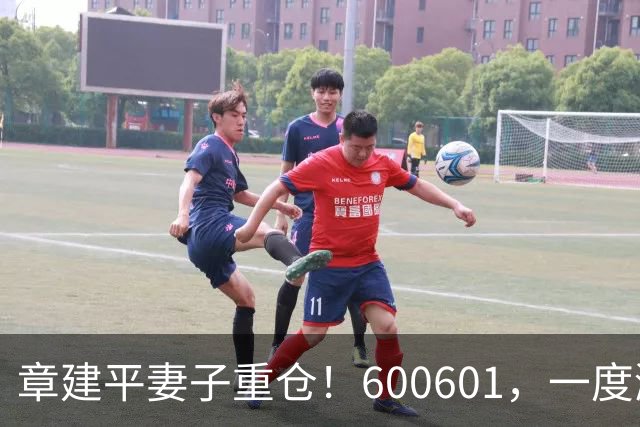 章建平妻子重仓！600601，一度涨停
