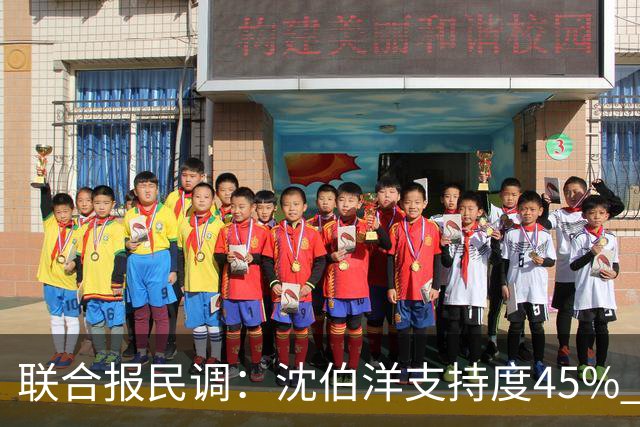 联合报民调：沈伯洋支持度45% 略胜蒋万安41%