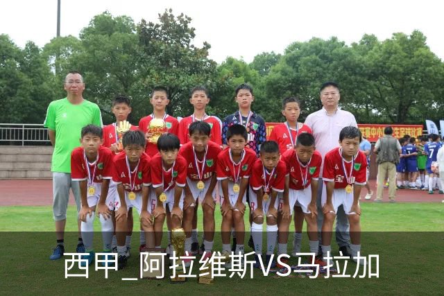 西甲 阿拉维斯VS马拉加