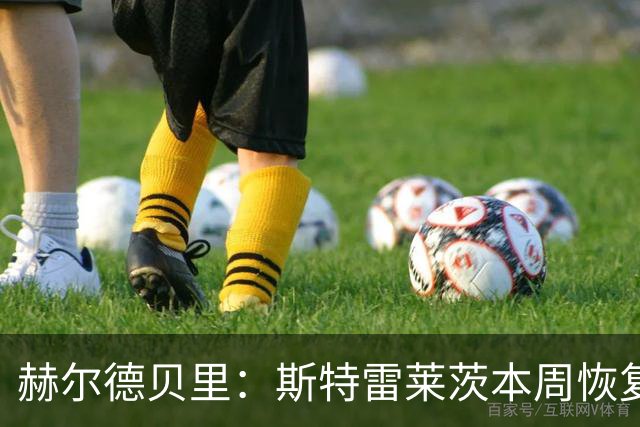 赫尔德贝里：斯特雷莱茨本周恢复合练，或赶上查尔顿之战