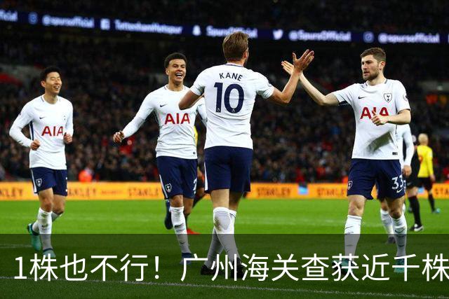 1株也不行！广州海关查获近千株盆栽，有625盆竟是“国宝级”植物